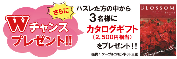 Wチャンスプレゼント!